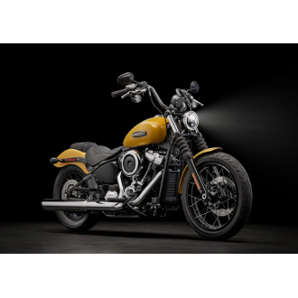 2025 Street Bob